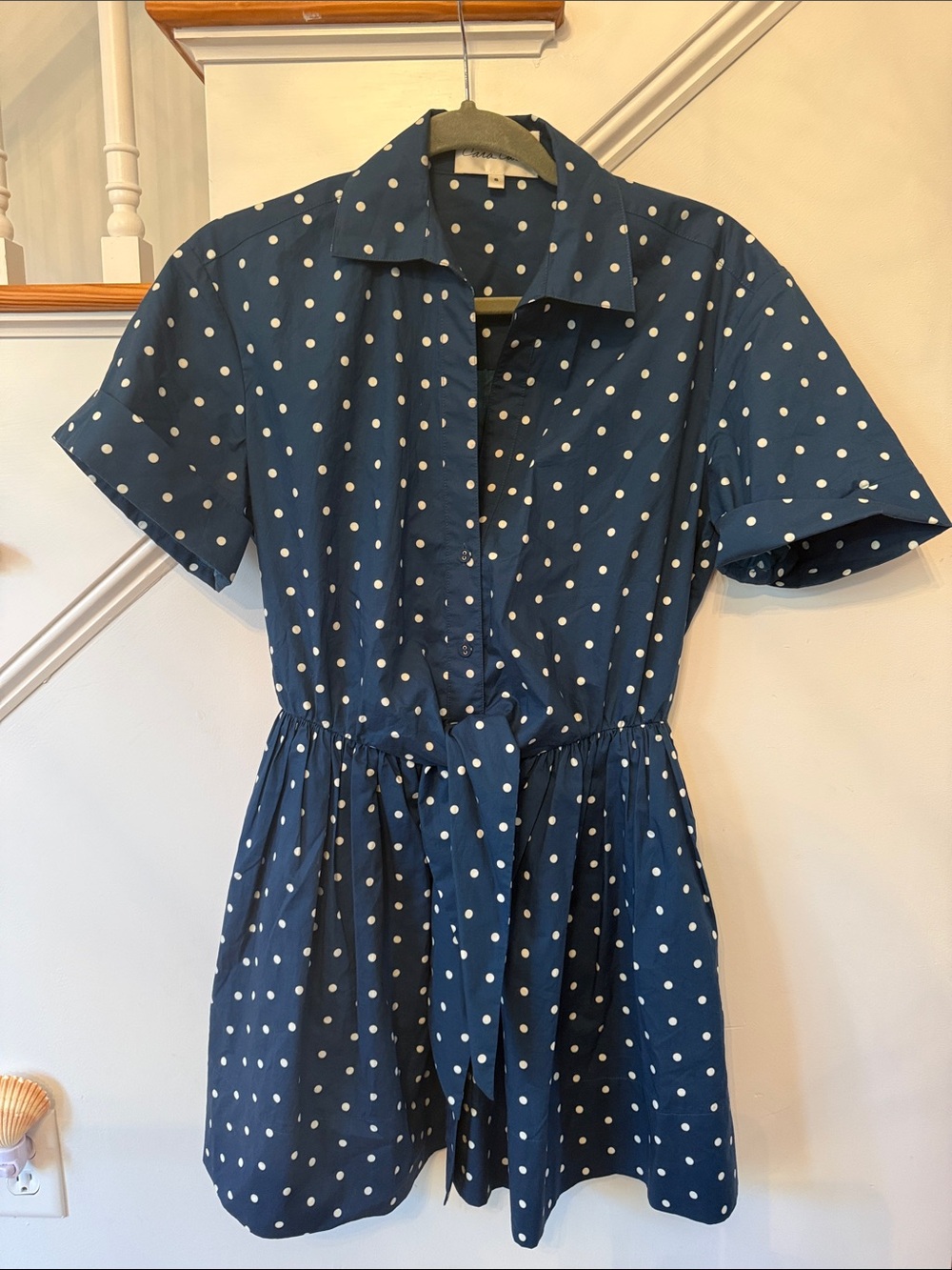 Cara Cara Navy Blue Polka Dot Asbury Dress